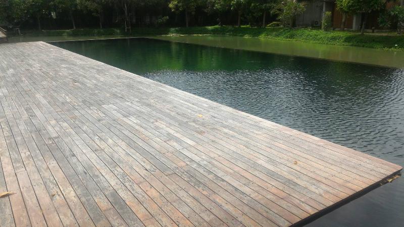Into The Forest Resort กรุงเทพมหานคร ภายนอก รูปภาพ