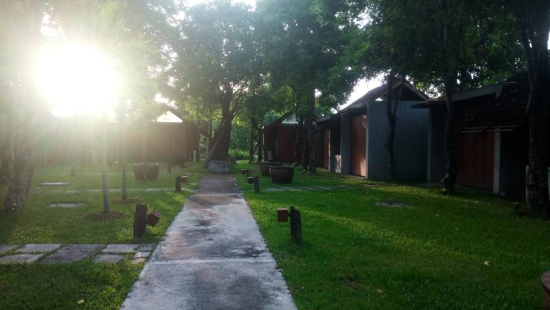 Into The Forest Resort กรุงเทพมหานคร ภายนอก รูปภาพ