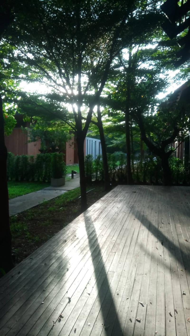 Into The Forest Resort กรุงเทพมหานคร ภายนอก รูปภาพ